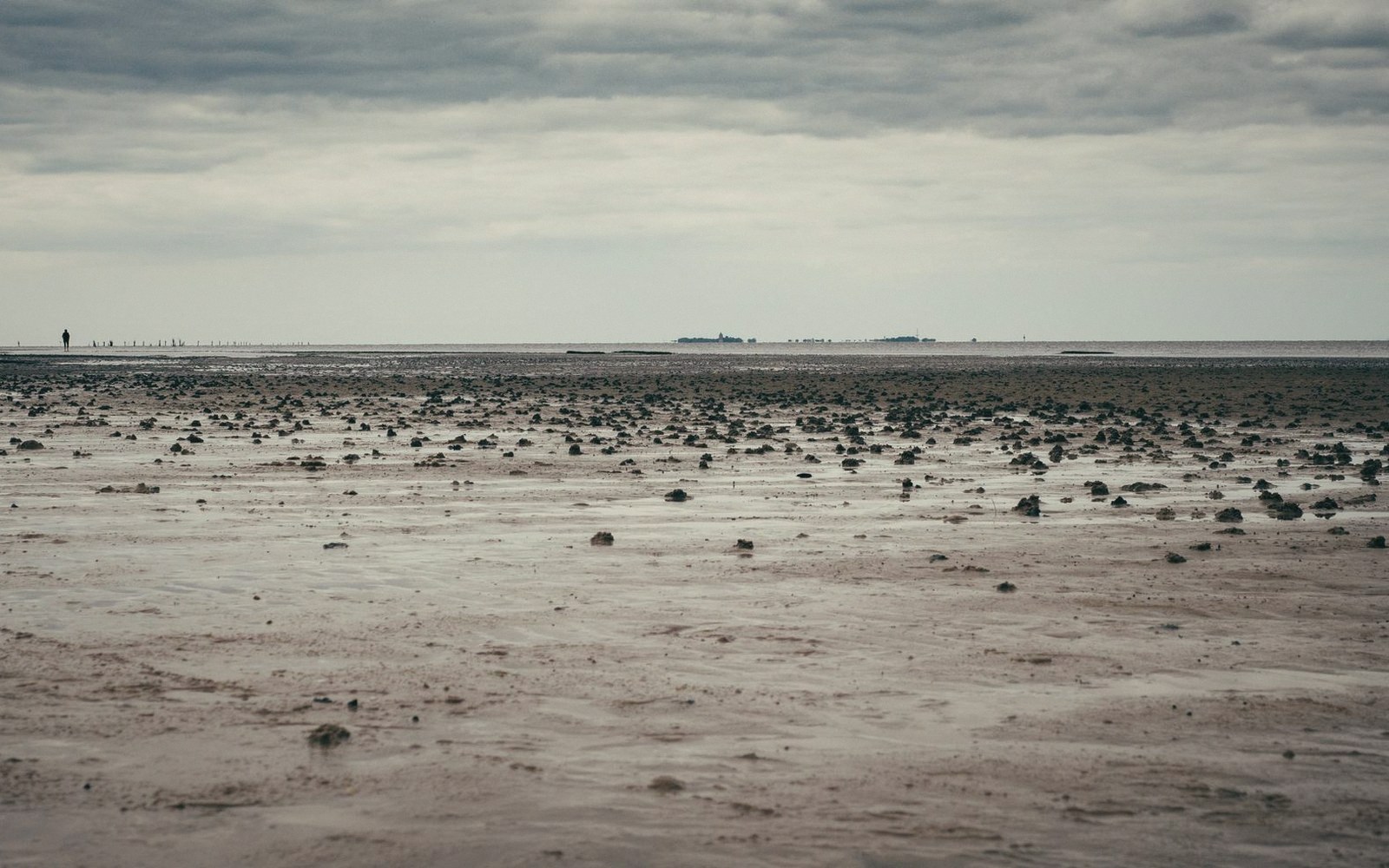 Wide expanse of exposed mudflats dotted with rocks under an overcast sky