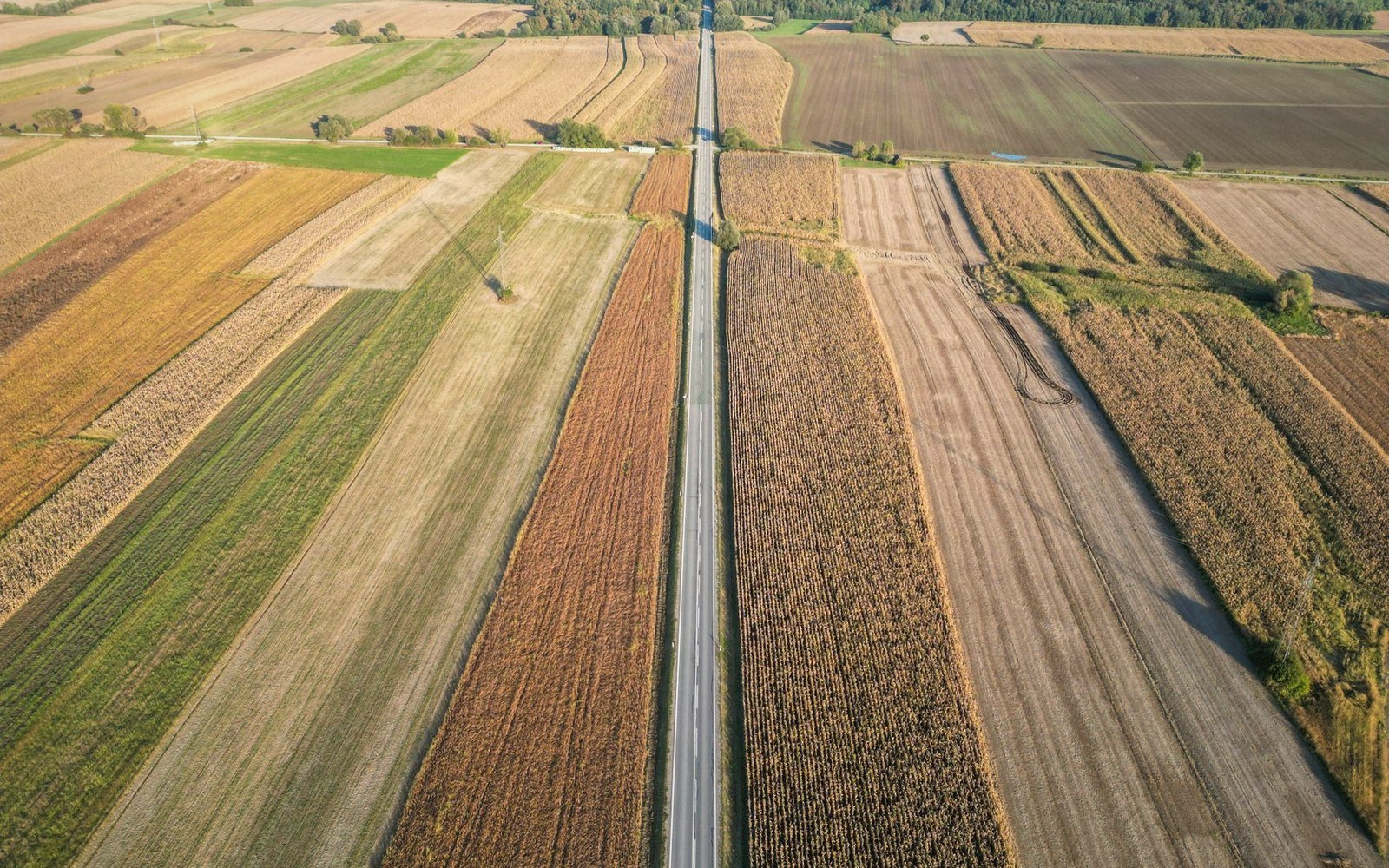Aerial view of a straight road cutting through patchwork farm fields