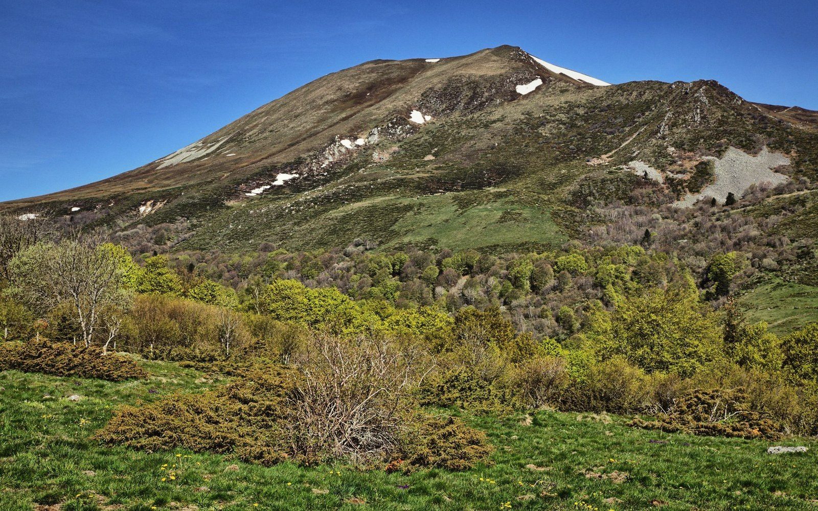 Patches of snow linger on a grassy mountain summit above wooded lower slopes