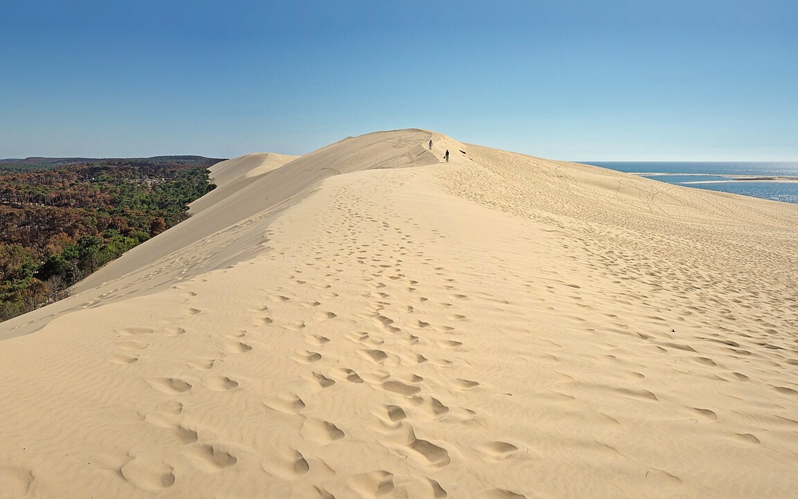 The steep sand face of the Dune du Pilat seen from the base, adults climbing the ridge line against a pale Atlantic sky